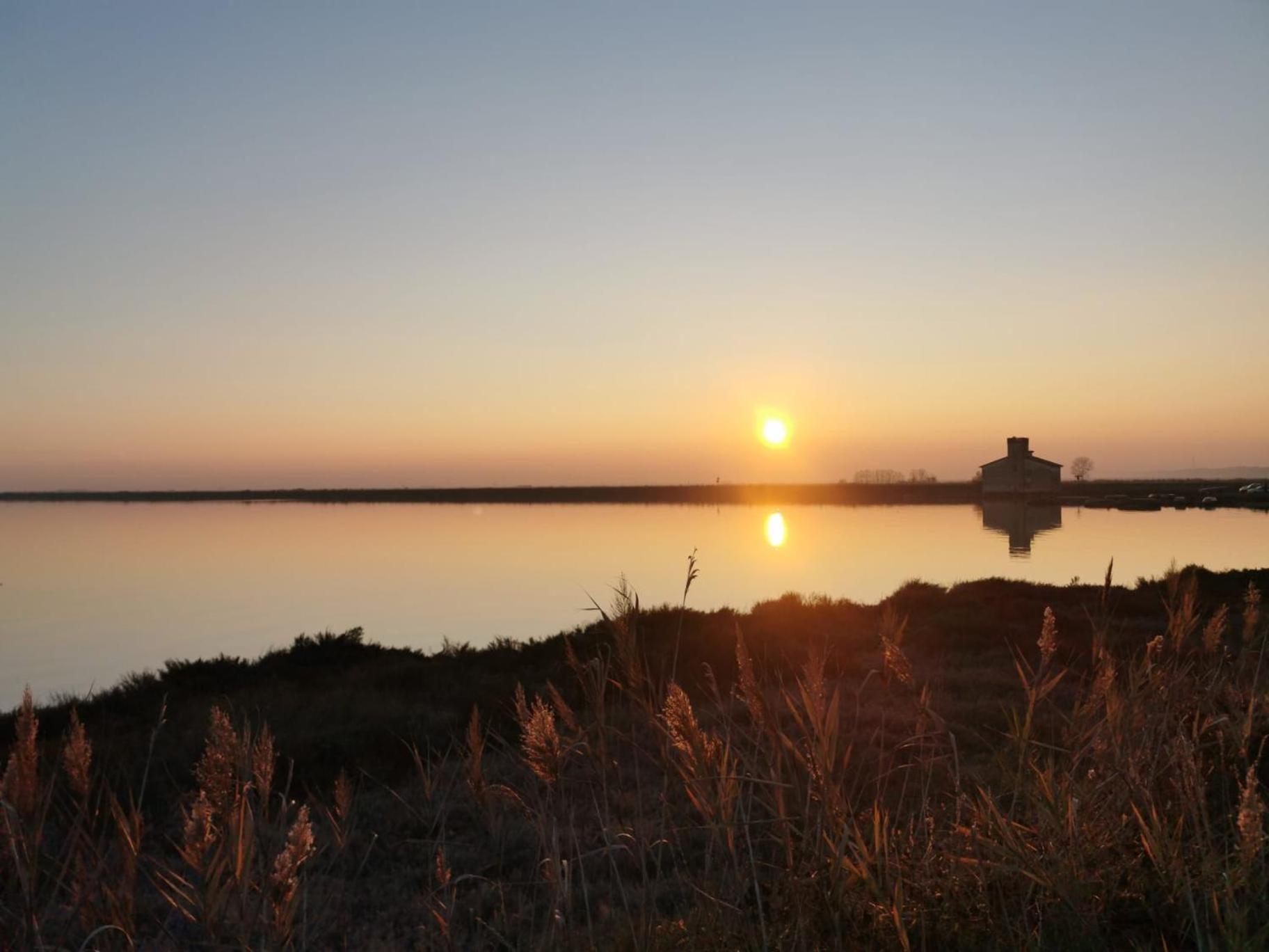 Comacchio Experience - Ospitalita Diffusa リド・ディ・ポンポーザ エクステリア 写真